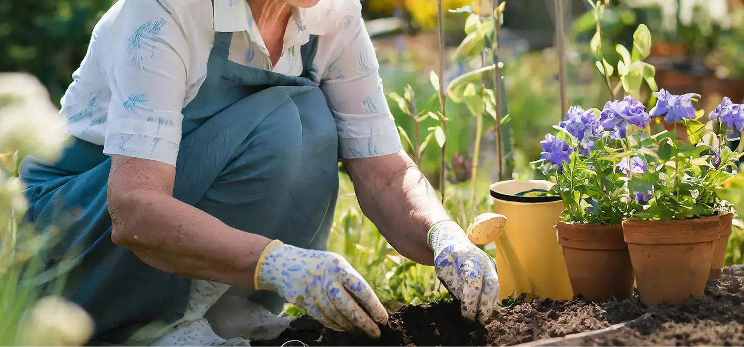 Geriatrie Ergotherapie: Ältere Person mit hellgrauem Pullover arbeitet im Garten. Hände tragen bunte Gartenhandschuhe, halten Erde und Pflanzen.