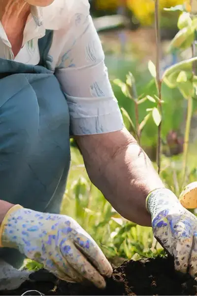Geriatrie Ergotherapie: Ältere Person mit hellgrauem Pullover arbeitet im Garten. Hände tragen bunte Gartenhandschuhe, halten Erde und Pflanzen.